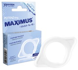 Erekčný krúžok Maximus Potency Ring