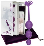 Rhapsodia purple