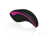 Bswish Bcurious Black Purple